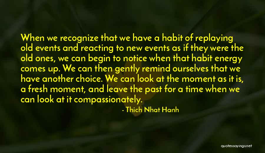 Fresh Look Quotes By Thich Nhat Hanh