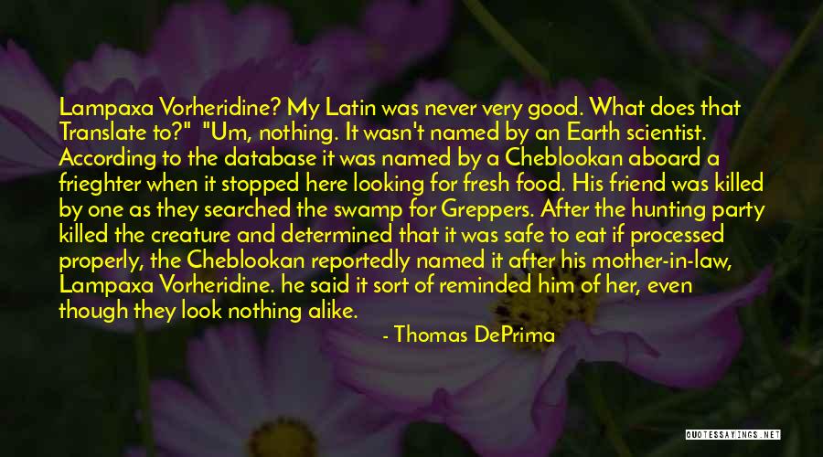 Fresh Look Quotes By Thomas DePrima Fresh Look Quotes By Thomas DePrima