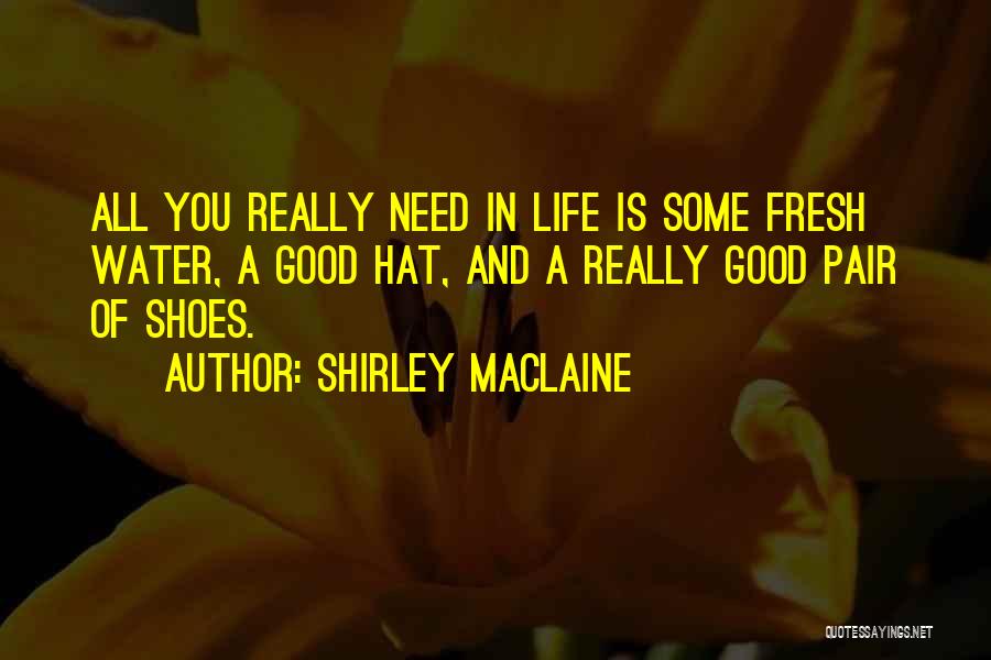 Fresh Pair Of Shoes Quotes By Shirley Maclaine