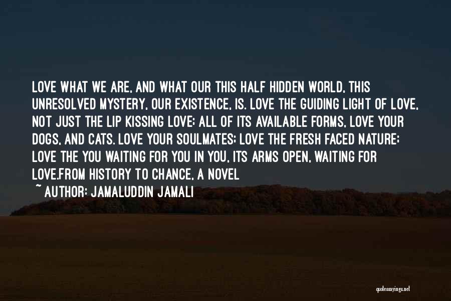 Fresh Relationships Quotes By Jamaluddin Jamali