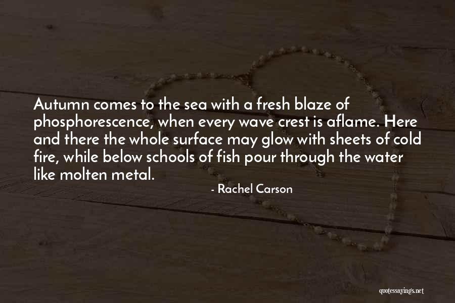 Fresh Sheets Quotes By Rachel Carson