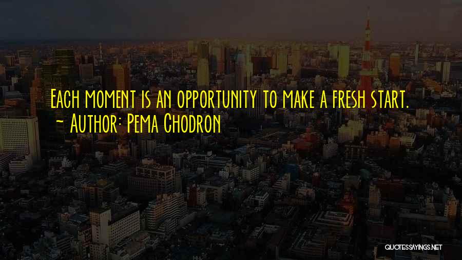 Fresh Start Quotes By Pema Chodron