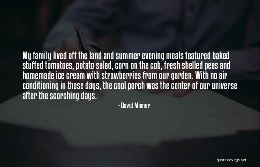 Fresh Strawberries Quotes By David Mixner Fresh Strawberries Quotes By David Mixner