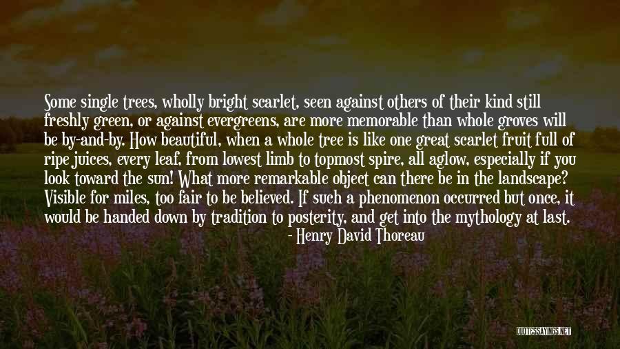 Freshly Single Quotes By Henry David Thoreau Freshly Single Quotes By Henry David Thoreau