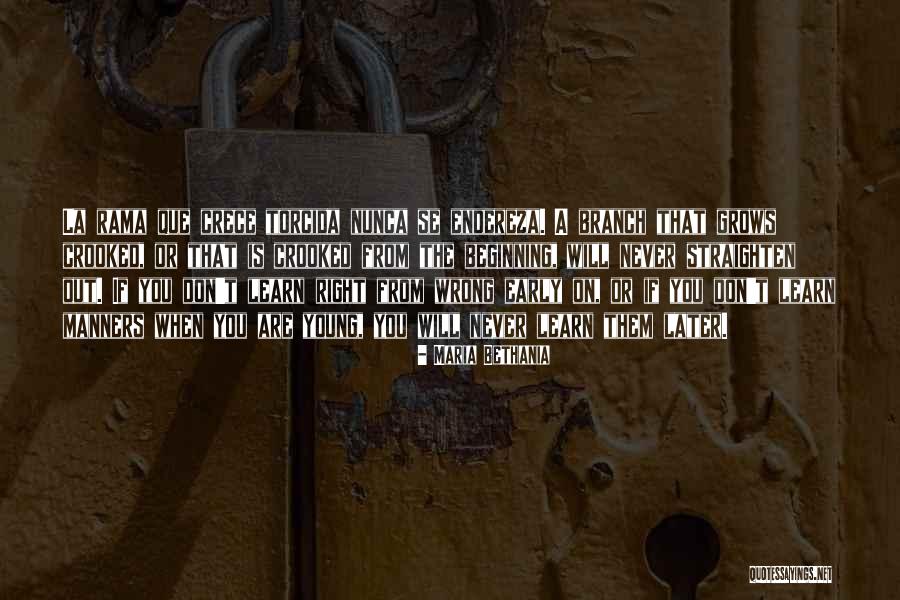 Freshpersons Quotes By Maria Bethania Freshpersons Quotes By Maria Bethania