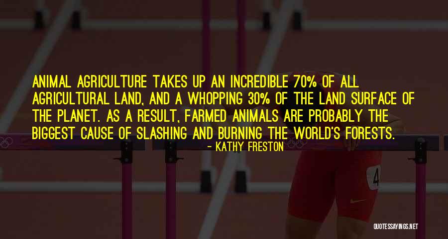 Freston Quotes By Kathy Freston Freston Quotes By Kathy Freston