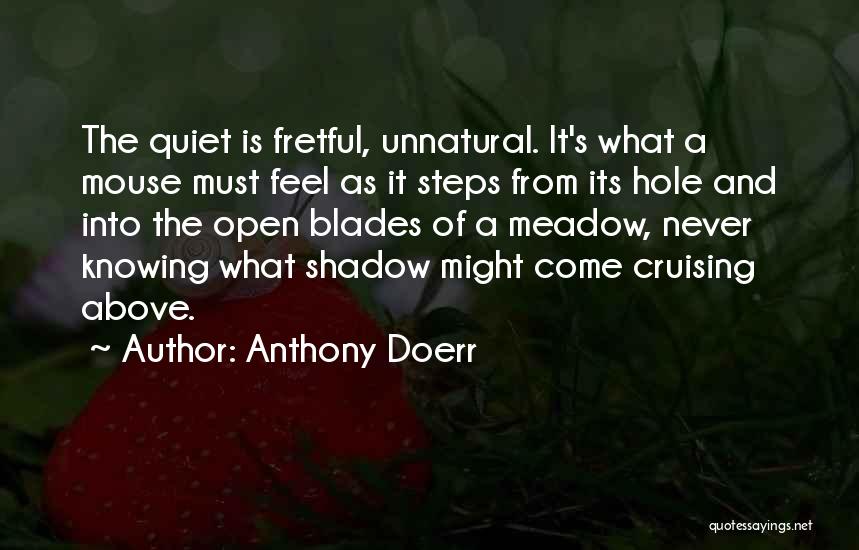 Fretful Quotes By Anthony Doerr