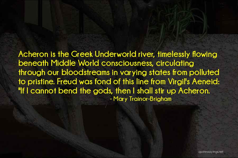 Freud Consciousness Quotes By Mary Trainor-Brigham Freud Consciousness Quotes By Mary Trainor-Brigham