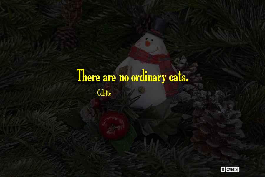 Freunde Von Niemand Quotes By Colette Freunde Von Niemand Quotes By Colette