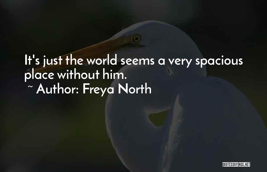 Freya North Quotes 1825485