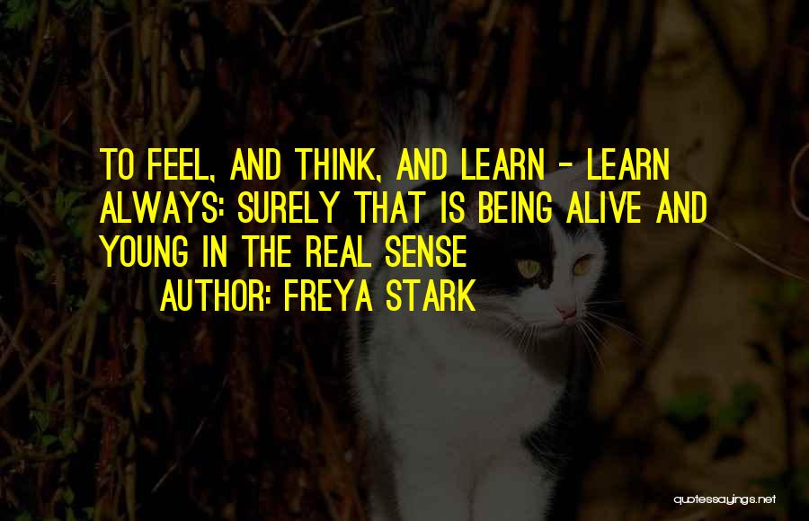 Freya Quotes By Freya Stark