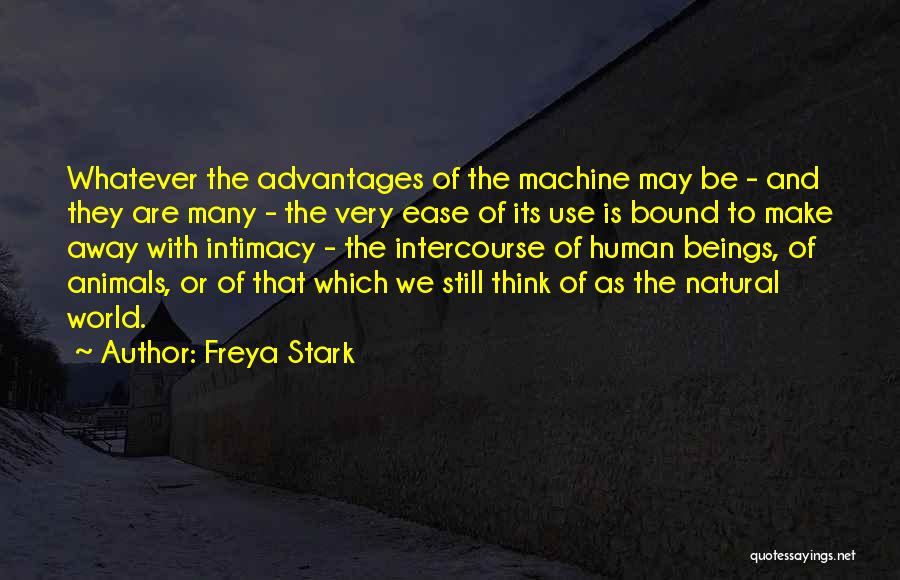 Freya Quotes By Freya Stark