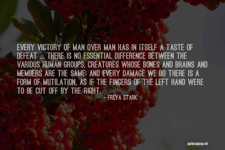 Freya Stark Quotes 1135480 Freya Stark Quotes 1135480