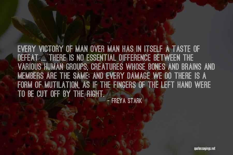 Freya Stark Quotes 1135480