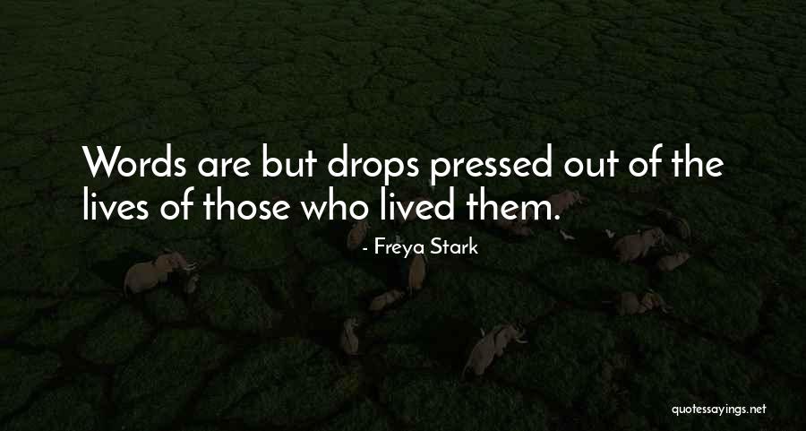 Freya Stark Quotes 1487740