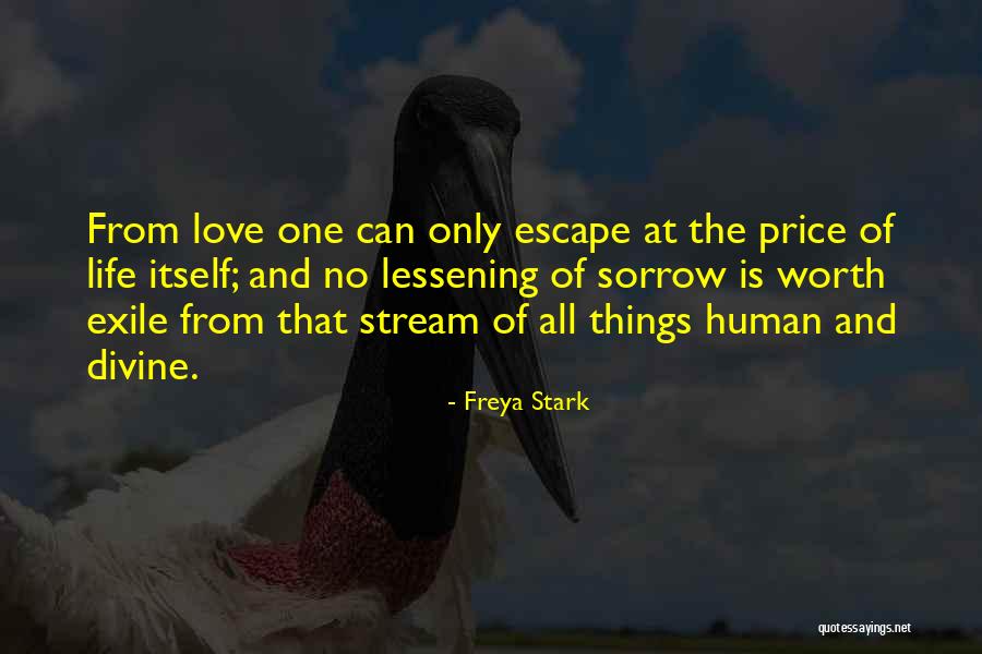 Freya Stark Quotes 376505 Freya Stark Quotes 376505