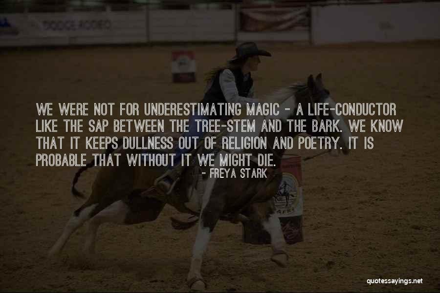 Freya Stark Quotes 421474 Freya Stark Quotes 421474