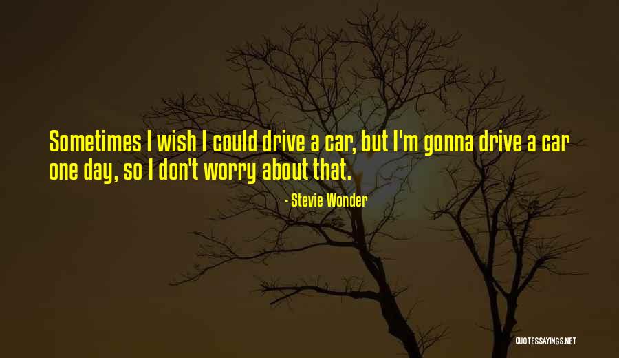Freyr Energy Quotes By Stevie Wonder Freyr Energy Quotes By Stevie Wonder