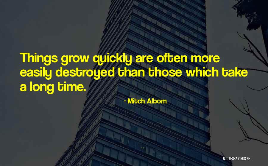 Frgn Mice Quotes By Mitch Albom Frgn Mice Quotes By Mitch Albom
