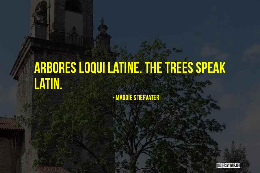 Fricountryresort Quotes By Maggie Stiefvater Fricountryresort Quotes By Maggie Stiefvater