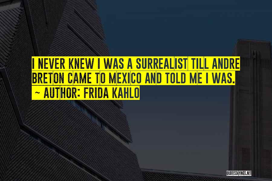 Frida Kahlo Quotes 404043