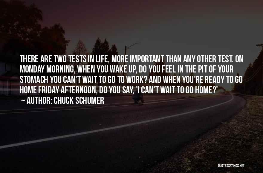 Friday Afternoon Quotes By Chuck Schumer