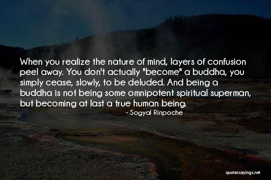 Friday Massage Quotes By Sogyal Rinpoche Friday Massage Quotes By Sogyal Rinpoche