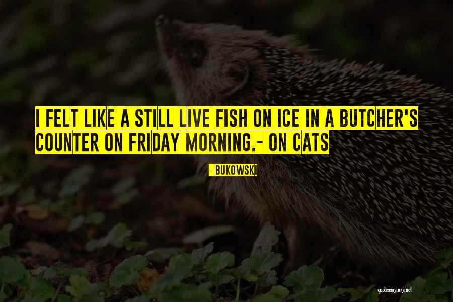 Friday Morning Quotes By Bukowski Friday Morning Quotes By Bukowski