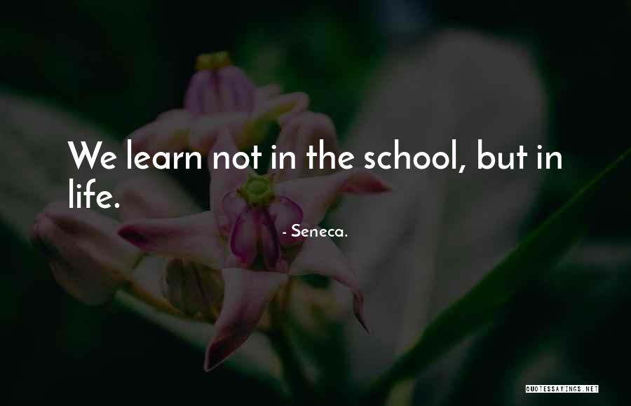 Friday Specials Quotes By Seneca. Friday Specials Quotes By Seneca.
