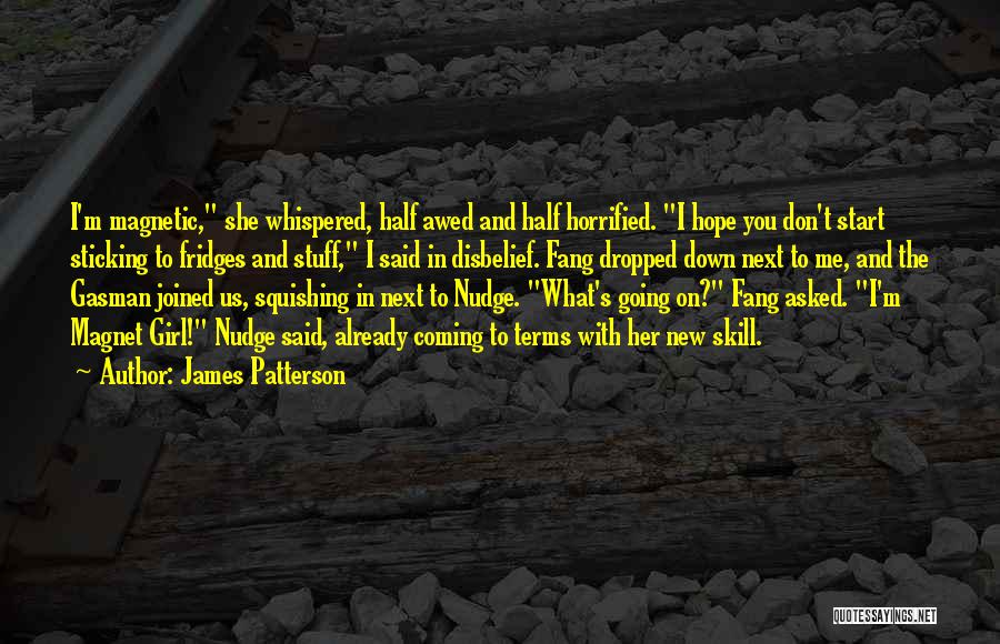 Fridges Quotes By James Patterson