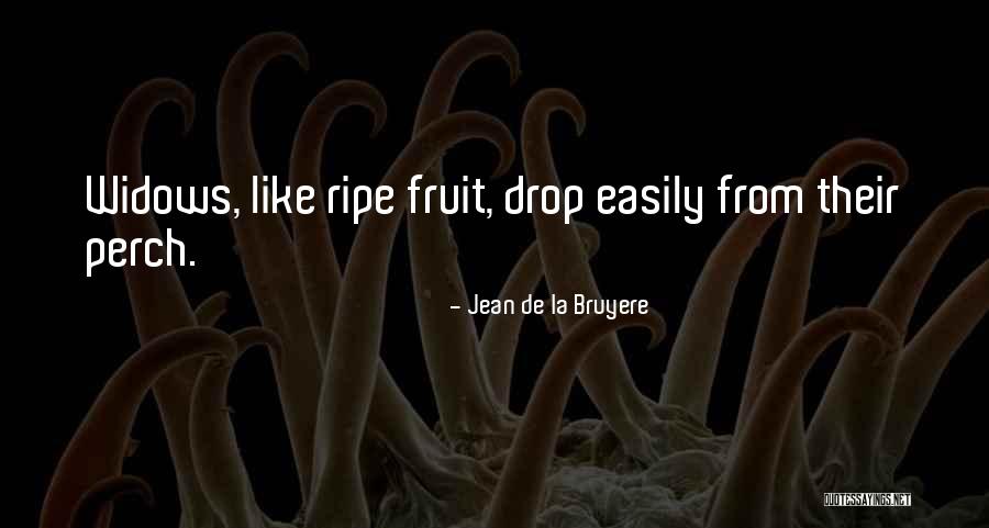 Fridolin Schimmel Quotes By Jean De La Bruyere Fridolin Schimmel Quotes By Jean De La Bruyere