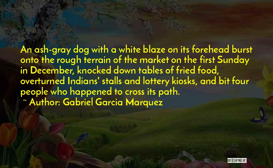 Fried Food Quotes By Gabriel Garcia Marquez