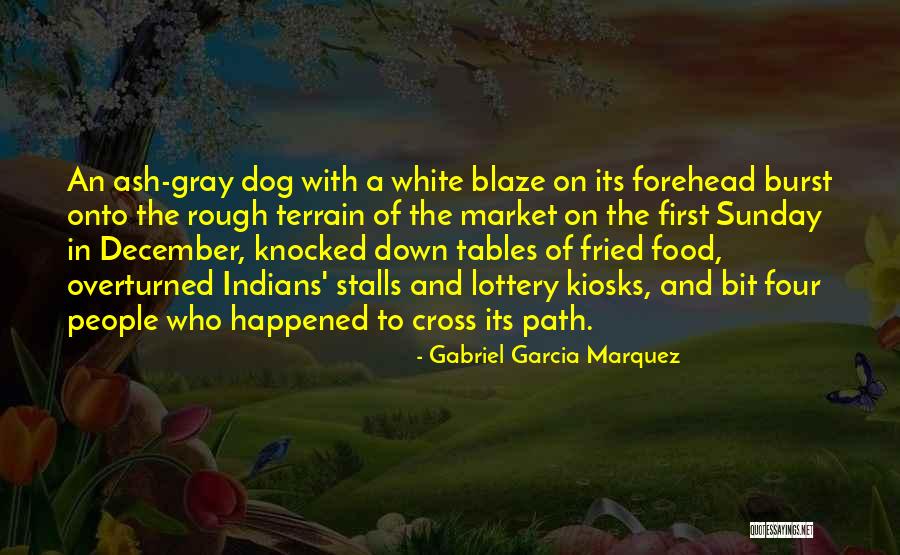 Fried Food Quotes By Gabriel Garcia Marquez