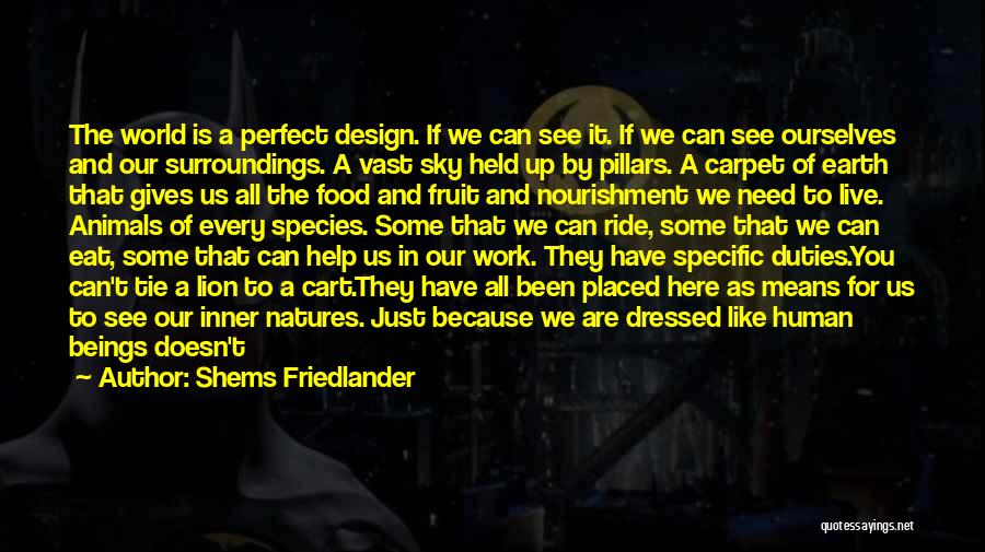 Friedlander Quotes By Shems Friedlander