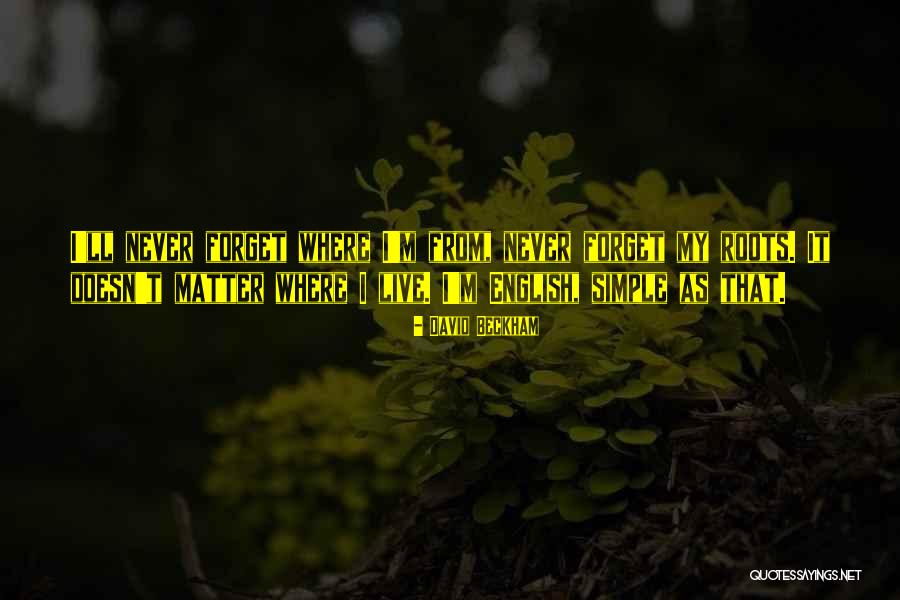 Friedmanese Quotes By David Beckham Friedmanese Quotes By David Beckham