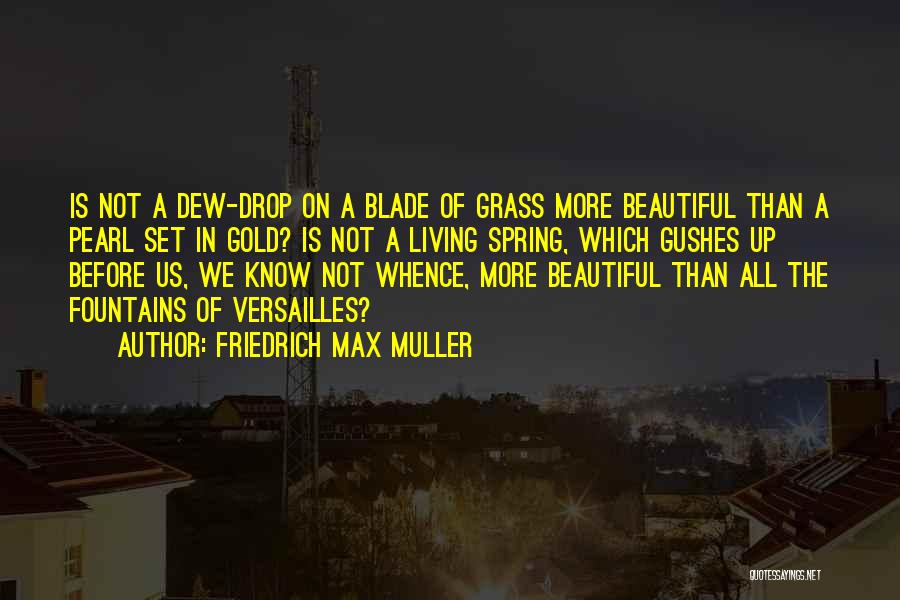 Friedrich Max Muller Quotes 1509179