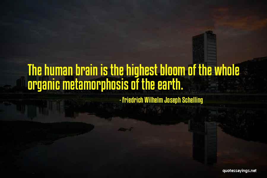 Friedrich Schelling Quotes By Friedrich Wilhelm Joseph Schelling Friedrich Schelling Quotes By Friedrich Wilhelm Joseph Schelling
