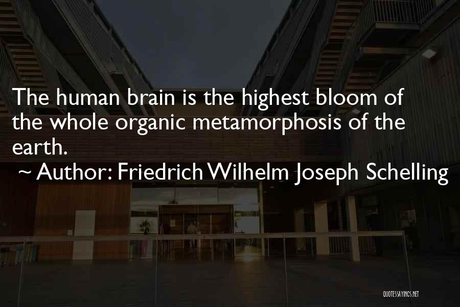 Friedrich Wilhelm Joseph Schelling Quotes 730407