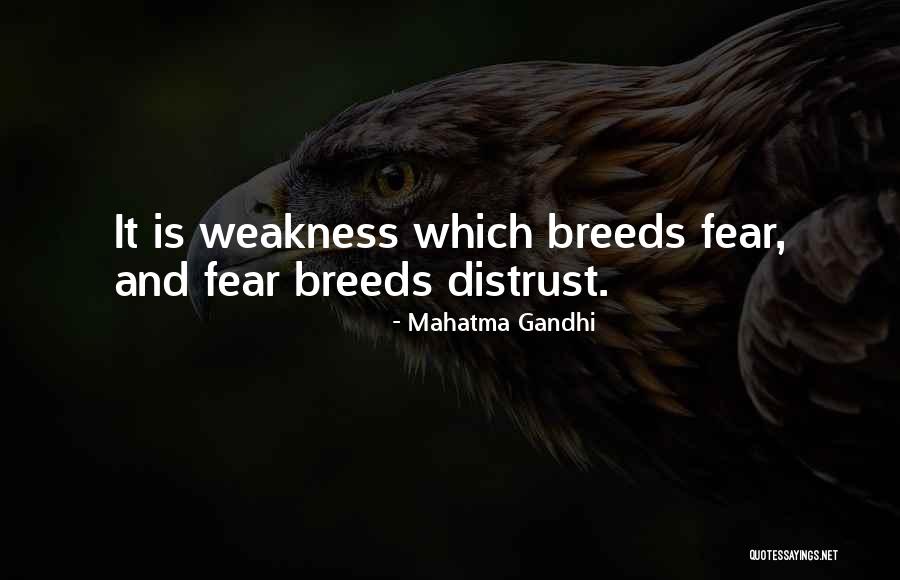 Frielings Quotes By Mahatma Gandhi Frielings Quotes By Mahatma Gandhi