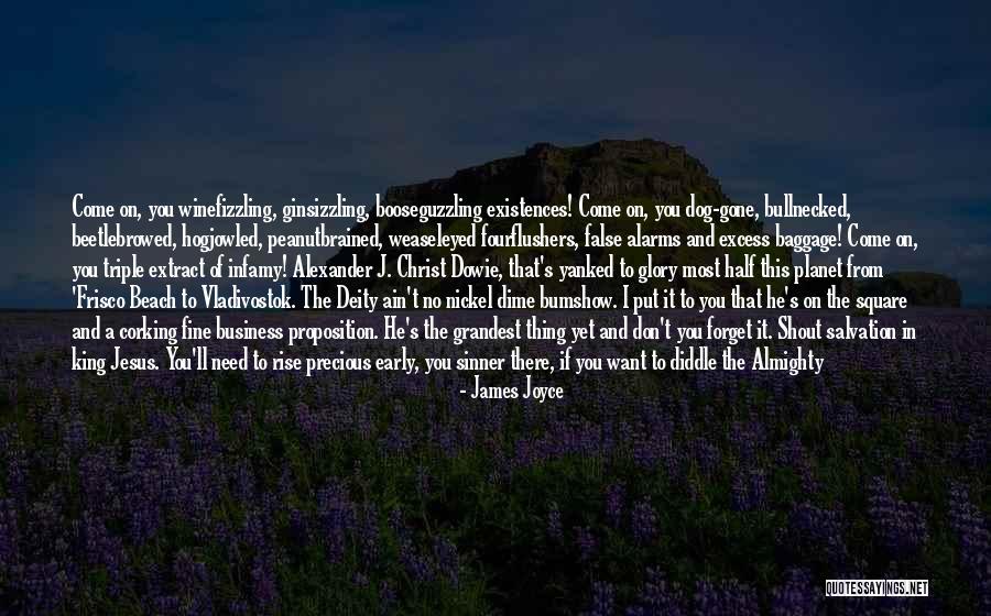 Friend And Beach Quotes By James Joyce