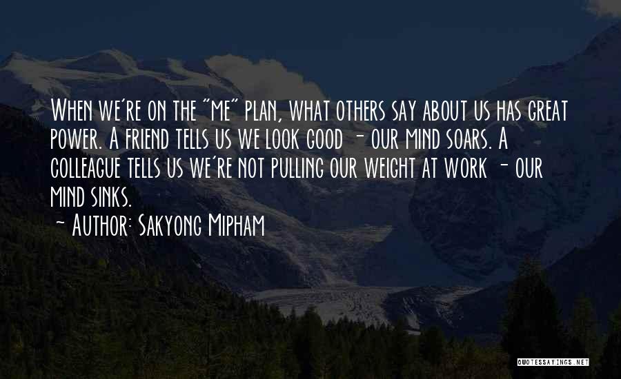 Friend And Colleague Quotes By Sakyong Mipham