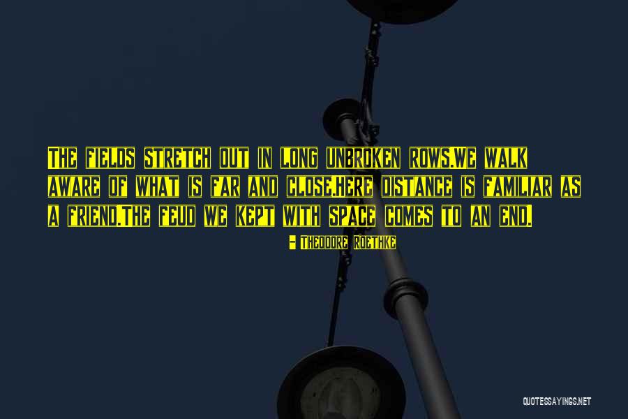 Friend And Distance Quotes By Theodore Roethke Friend And Distance Quotes By Theodore Roethke
