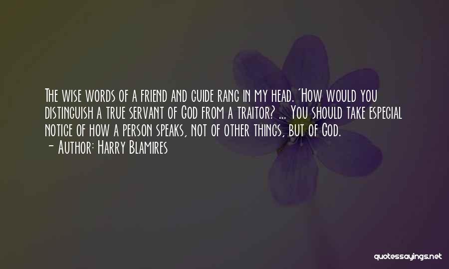 Friend And God Quotes By Harry Blamires