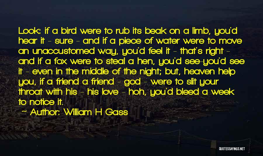 Friend And God Quotes By William H Gass