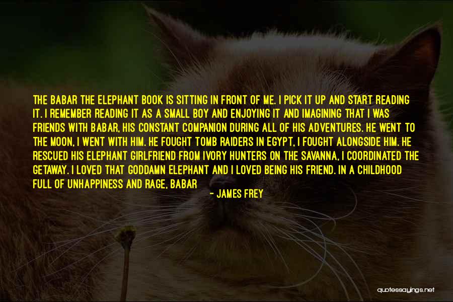 Friend And Memories Quotes By James Frey