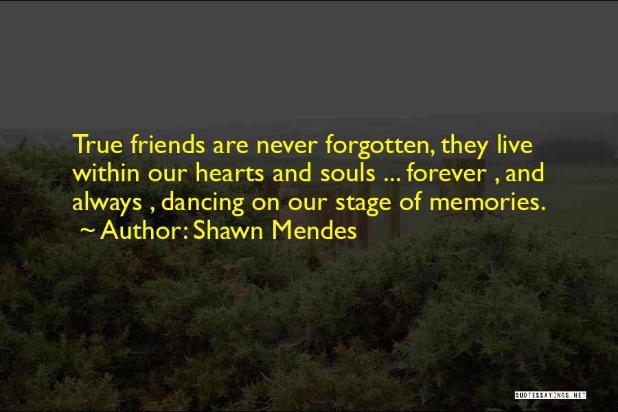 Friend And Memories Quotes By Shawn Mendes