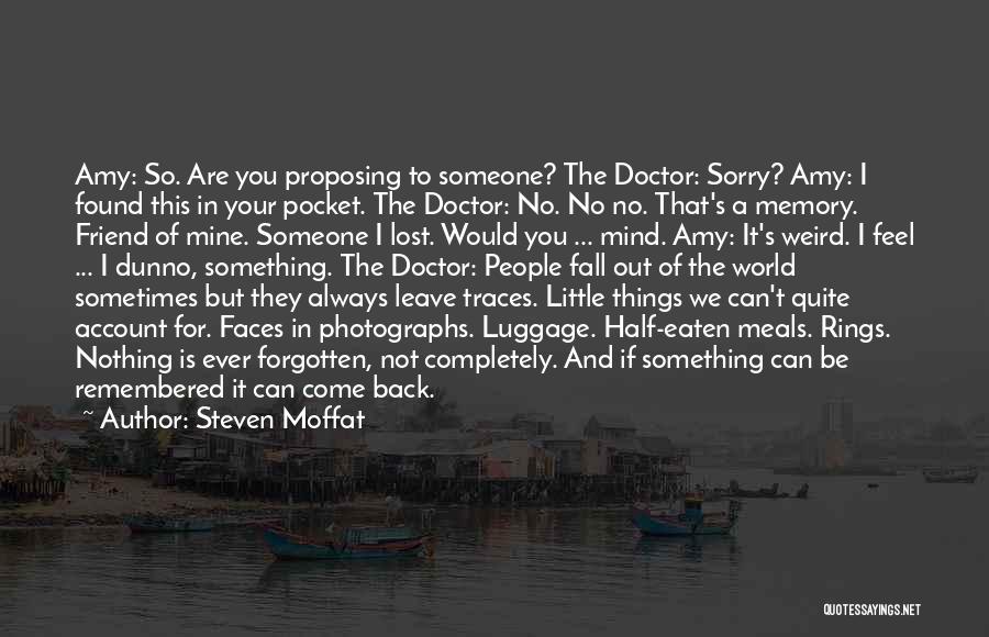 Friend And Memory Quotes By Steven Moffat