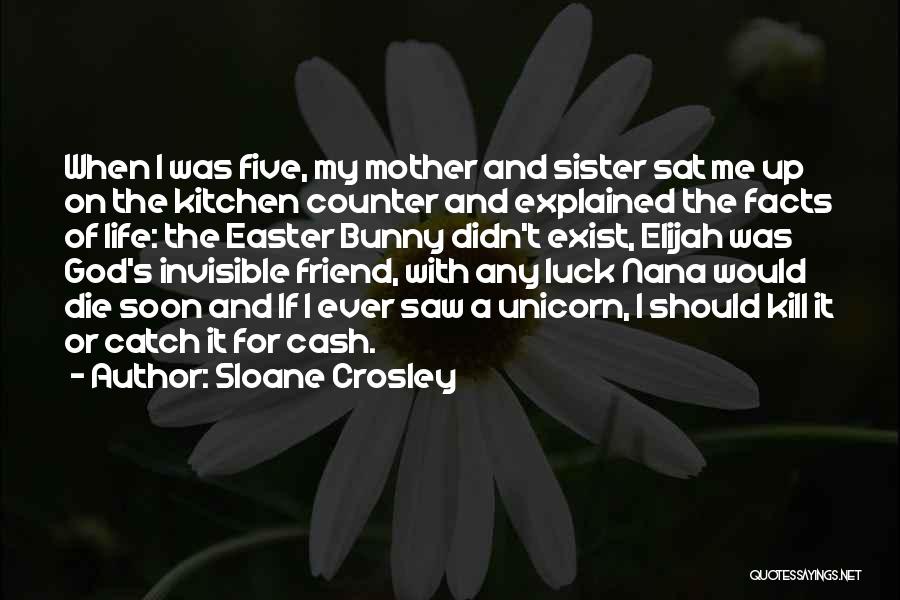 Friend And Sister Quotes By Sloane Crosley