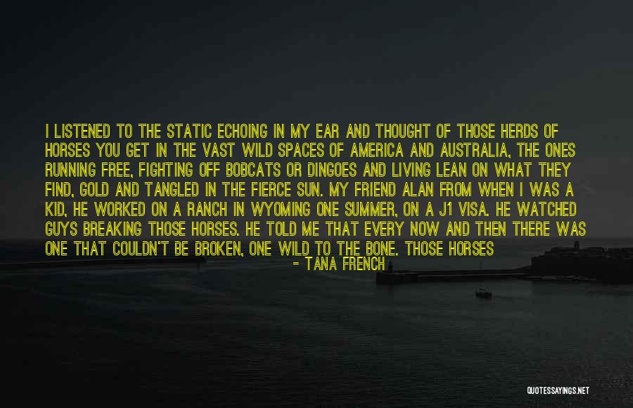 Friend And Summer Quotes By Tana French Friend And Summer Quotes By Tana French