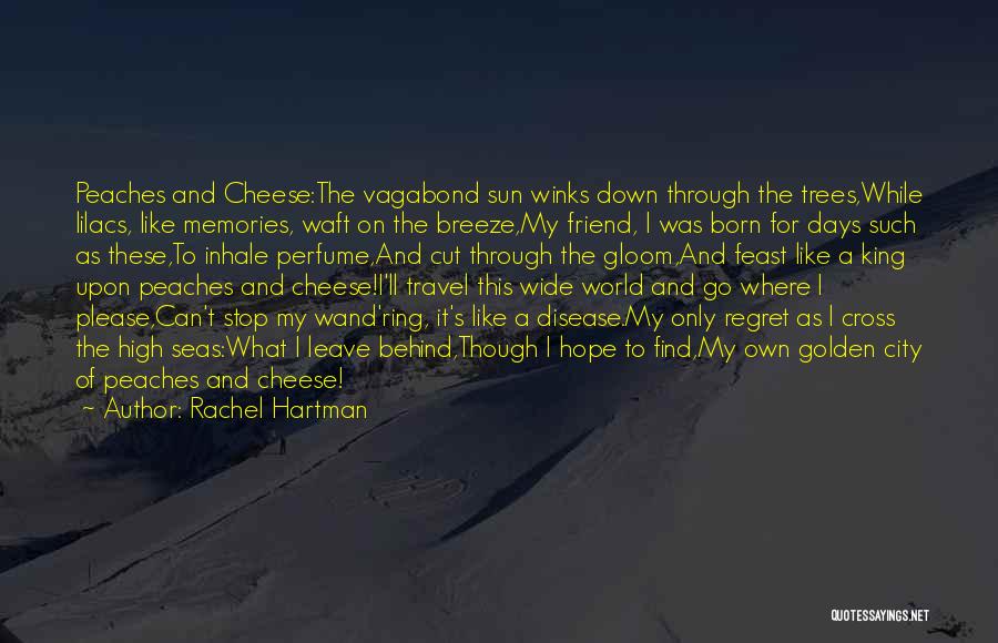 Friend And Travel Quotes By Rachel Hartman